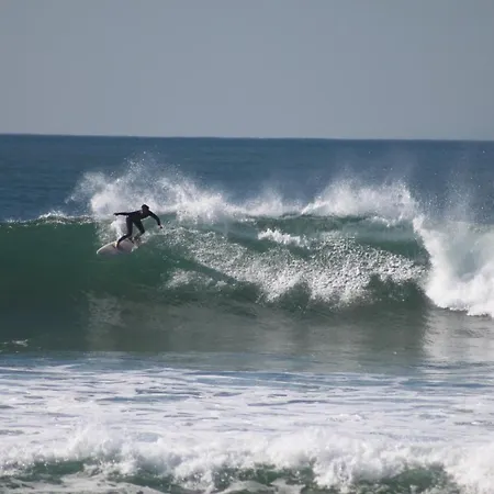 Хостел Natural Mystic *