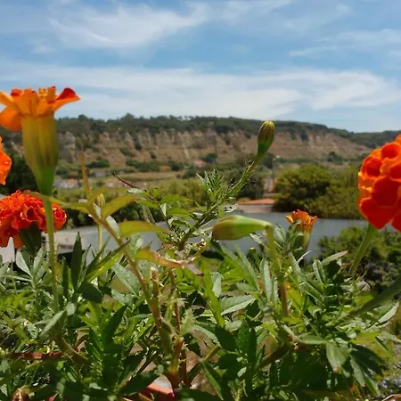 Natural Mystic Кошта-да-Капарика