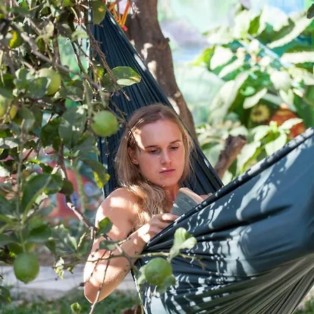 Natural Mystic Кошта-да-Капарика