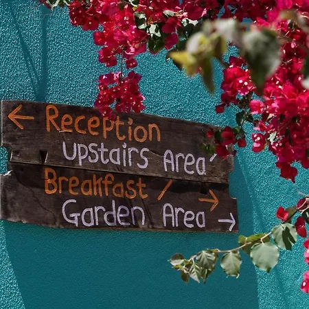 Хостел Natural Mystic *