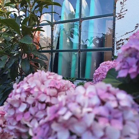 Хостел Natural Mystic