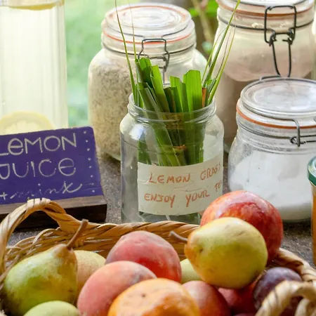 Natural Mystic Хостел Кошта-да-Капарика