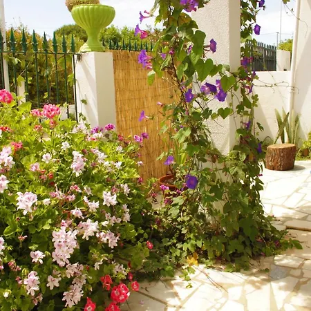 Hostal Natural Mystic *