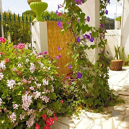 Albergue Natural Mystic Costa da Caparica