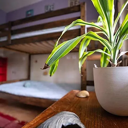 Albergue Natural Mystic *